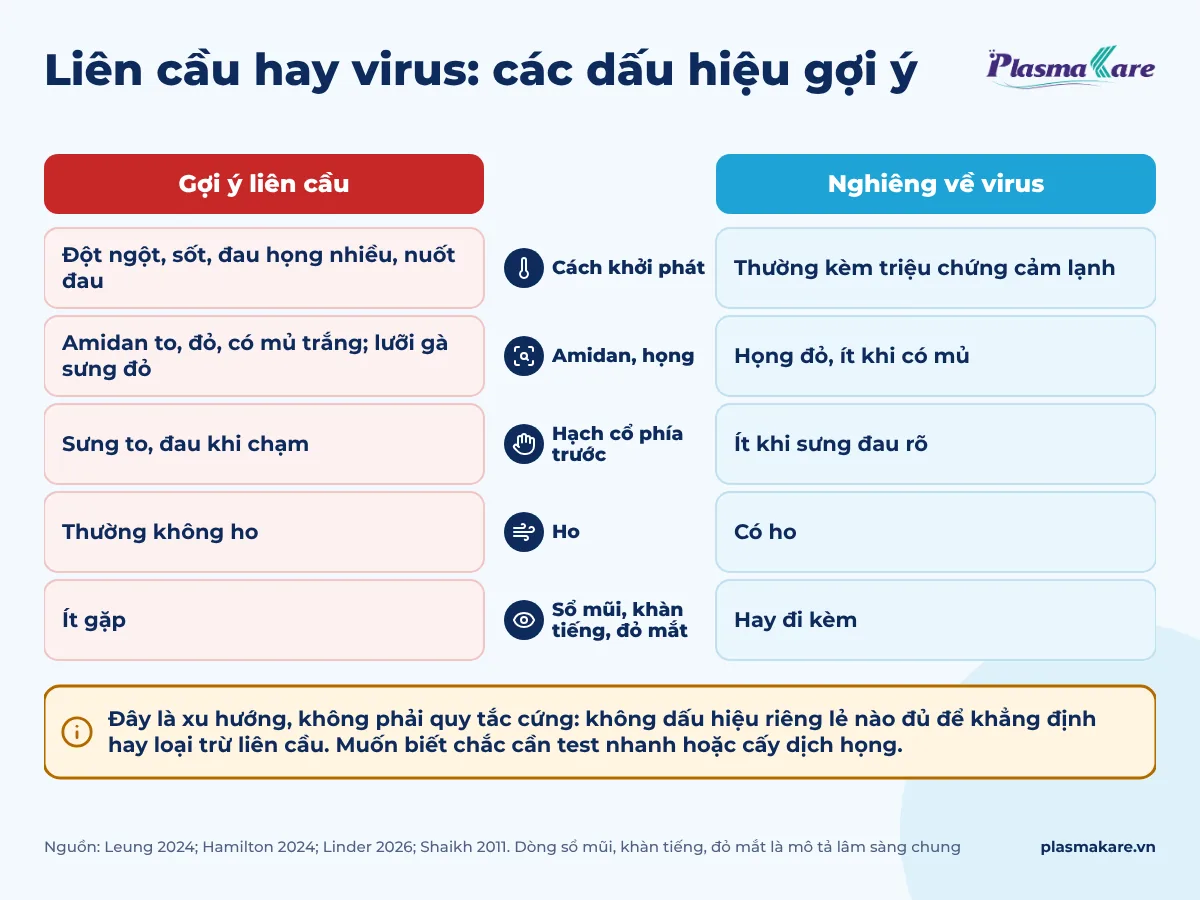 Bảng so sánh hai cột năm dấu hiệu: khởi phát, amidan và họng, hạch cổ trước, ho, sổ mũi khàn tiếng đỏ mắt, giữa gợi ý liên cầu và nghiêng về virus, kèm ghi chú đây là xu hướng không phải quy tắc cứng