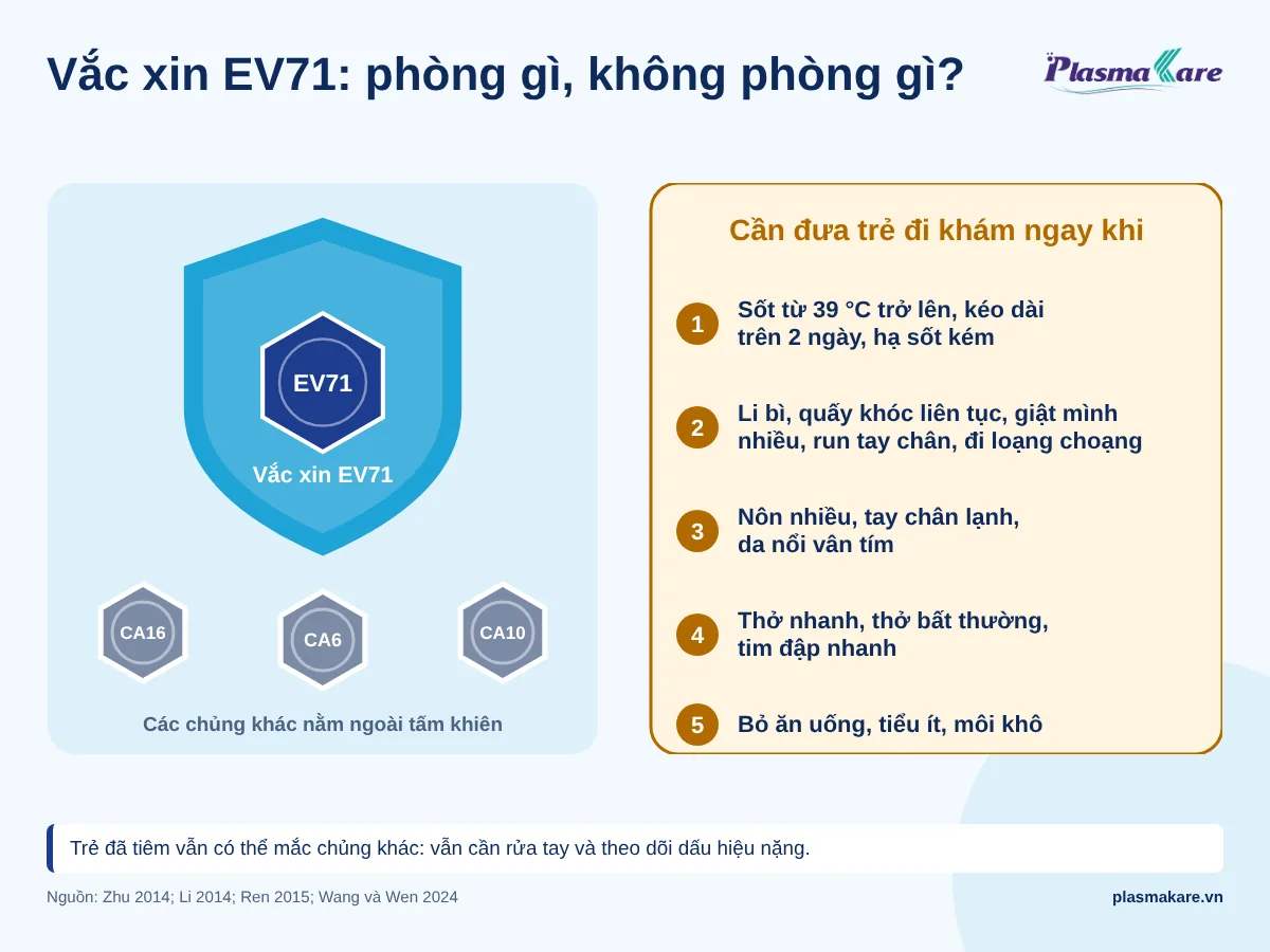 Tấm khiên vắc xin EV71 chỉ che chủng EV71, các chủng CA16, CA6, CA10 nằm ngoài, kèm năm dấu hiệu cần đưa trẻ đi khám ngay