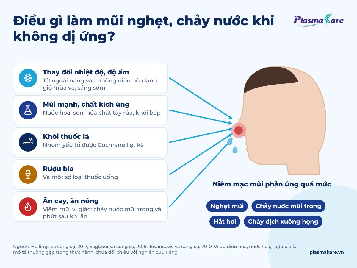 Năm yếu tố khởi phát viêm mũi vận mạch: nhiệt độ, mùi mạnh, khói thuốc, rượu bia, món cay nóng.